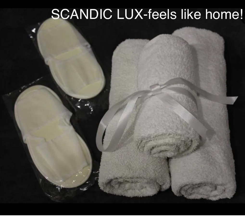 Scandic-Lux Apartments-Feels Like Home! В Центрі Львова Lviv